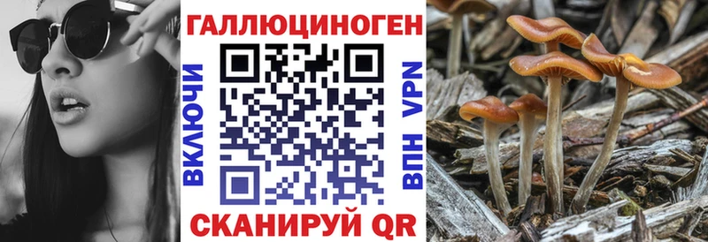 Галлюциногенные грибы Magic Shrooms  дарнет шоп  Щигры 
